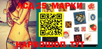гидропоника Будённовск