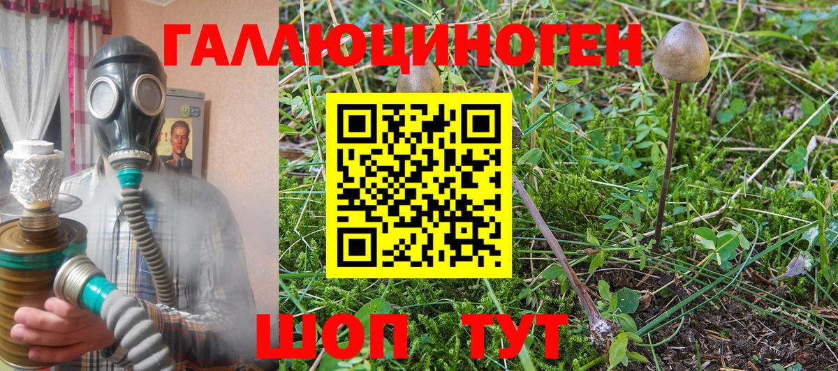Назрань  Псилоцибиновые грибы Magic Shrooms  Вход с VPN  Псилоцибиновые грибы Cubensis 